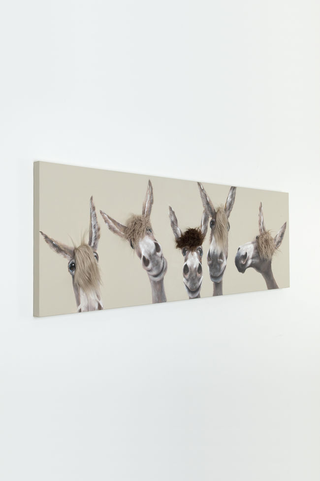 Wandbild ASINOR